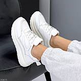 Жіночі шкіряні кросівки білі, жіночі кросівки натуральна шкіра, жіночі літні кросівки білі, фото 3