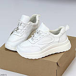Жіночі шкіряні кросівки білі, жіночі кросівки натуральна шкіра, жіночі літні кросівки білі, фото 4