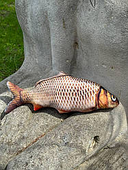 М'яка іграшка-антистрес Риба Короп 3D обіймашка 40см