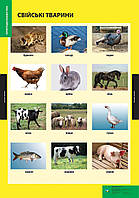 ПЛАКАТ Свійські тварини