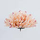 Штучна бежево-рожева хризантема, діаметр 16 см, висота 7 см. Штучна хризантема для декору., фото 2