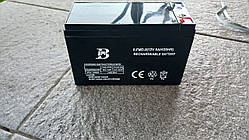 Акумулятор 2024 рік для обприскувача 6-FMD-8.0(12V 8AH/20HR)