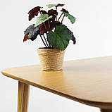 Стіл Dan 120 х 80 натуральний дуб, фото 8