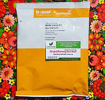 Насіння кавуна НУН 21613 F1 (Nunhems), 1 000 насінин — ранній (62-65 днів), типу Кримсон Світ