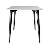 Стіл Dan 120 х 80 білий / чорний, фото 3