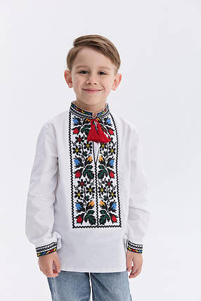 Вишиванка для хлопчика "Барвистий", фото 1