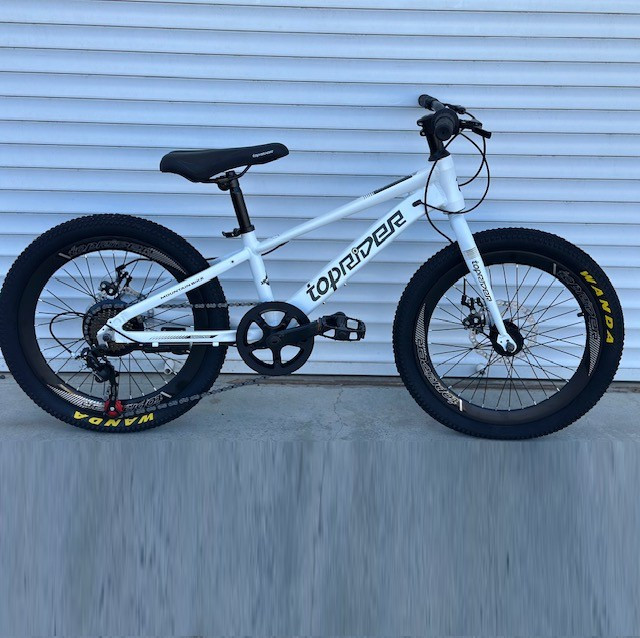 Велосипед TopRider ТОП100 20" х12, фото 1