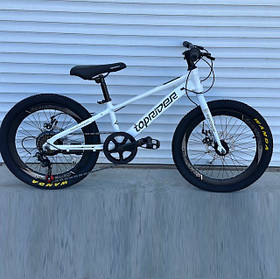 Велосипед TopRider ТОП100 20" х12