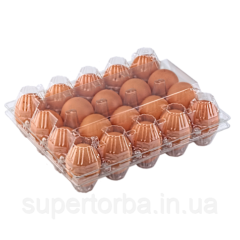 Паковання для курячих яєць 20 комірок прозоре верх і низ (50 шт.), фото 1