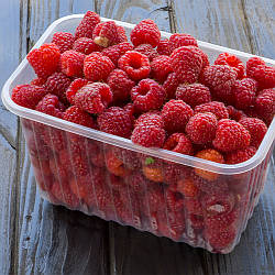 Пластикові лотки для ягід ПП-701 — прозорий, 1750 мл, 1 кг, 190х114х114 мм, 100 шт/уп