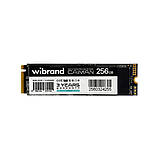 Накопичувач SSD M.2 Wibrand Caiman 256GB NVMe 2280 PCIe 3.0 3D NAND, фото 4