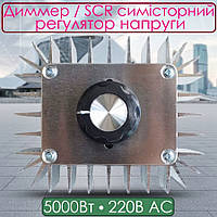 Диммер 5000Вт 220В AC SCR симісторний регулятор напруги потужності 5000W