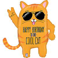 Фольгована кулька Grabo 26"(54х63 см) Супер-кіт "Happy Birthday to one cool Cat"