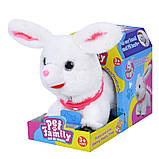 М'яка іграшка плюшева ходить і танцює 3 різновиди CH6022-23-24, фото 3