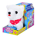 М'яка іграшка плюшева ходить і танцює 3 різновиди CH6022-23-24, фото 4