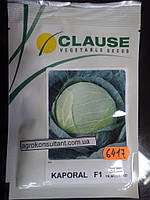 Насіння капусти Капорал F1 (Clause) 2500 насіння середнє (85-100 днів), білокочане