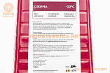 Рідина для очищення скла -20°С (в бачок омивача) "ожина", 4L, МОТОХІМІЯ, SV-304761, фото 3