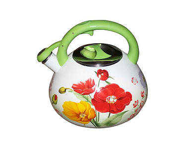 Чайник для плити 3,2л зі свистком, бак ручка 1L зелений 00080382 ТМ ZAUBERG FG
