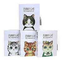 Блокнот дитячий  в коробці на замочку "Funny cat" 64К, 16 * 13см, mix4