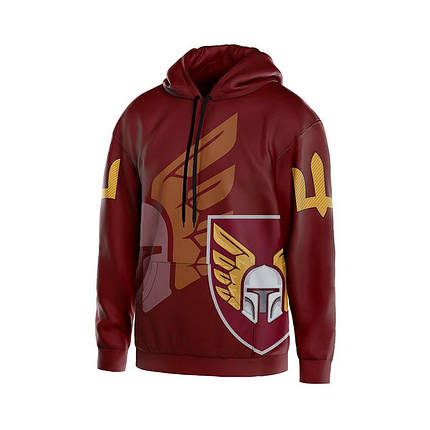 Худі чоловіче з принтом «46-та окрема аеромобільна бригада. Бойові крила» бордовий, фото 1