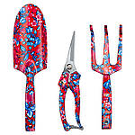 Набір посадковий із 3 предметів (Raspberry) FLORA (5043634)