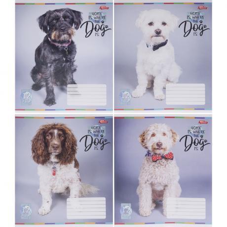 Зошит кольоровий 12 аркушів, лінія 3707 N MZOPT