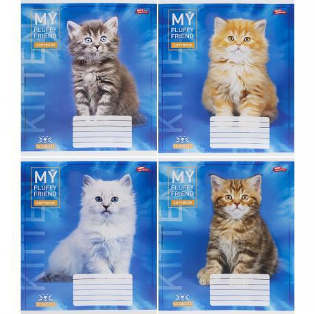 Зошит кольоровий 12 аркушів, лінія 3708 N MZOPT