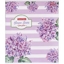 Зошит кольоровий 48 аркушів, клітинка 3736 D MZOPT, фото 4