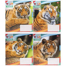 Зошит кольоровий 48 аркушів, клітинка 3737 N MZOPT