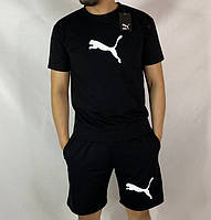 Чоловічий літній комплект (футболка та шорти)