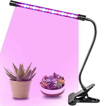 Рослини та догляд за ними