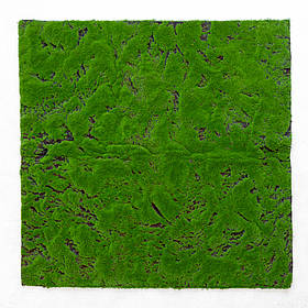 Декоративна панель зі штучного моху, 100*100 см ELISEY