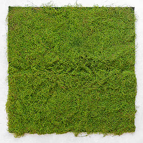 Декоративна панель зі штучного моху, 100*100 см ELISEY
