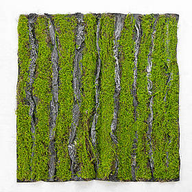 Декоративна панель зі штучного моху та кори, 100*100 см ELISEY