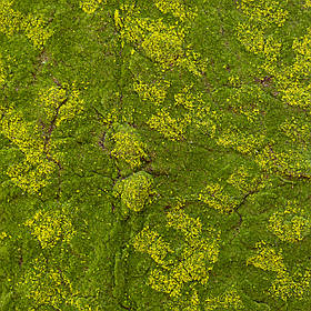 Декоративна панель зі штучного моху, 100*100 см ELISEY