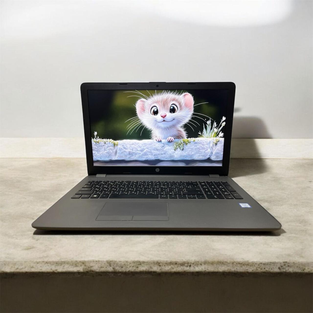 Б/в Ноутбук HP 250 G6 15.6" 1920x1080| Core i5-7200U| 8 GB RAM| 240 GB SSD| HD 620
