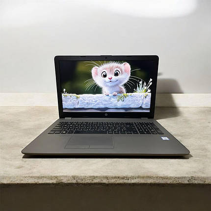 Б/в Ноутбук HP 250 G6 15.6" 1920x1080| Core i5-7200U| 8 GB RAM| 240 GB SSD| HD 620, фото 1