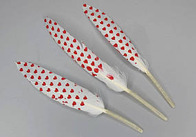 Пір'я гусака білі із серцями 14-16 см/10 шт.