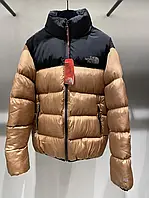 TNF 700 Bronze