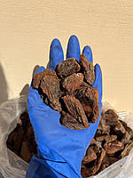 Кора Пінія чиста Португальська без домішок 25-45 мм ручне фасування