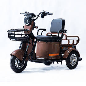 Триколісний електровелосипед CARGO P650 Коричневий