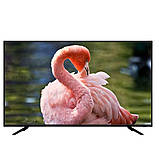 Телевізор з управлінням голосом 55 дюймів Самсунг Т2 Smart TV Full HD Android 14 Bluetooth Телевізор 4K К2, фото 6