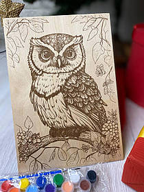 Розмальовка сова