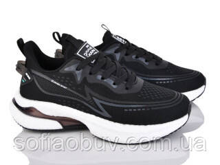 Кросівки жіночі Lion, фото 1