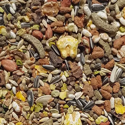 Корм для хом'яків, щурів, мишей, піщанок VERSELE-LAGA CRISPY MUESLI HAMSTER Кріспі мюслі 20 кг., фото 2