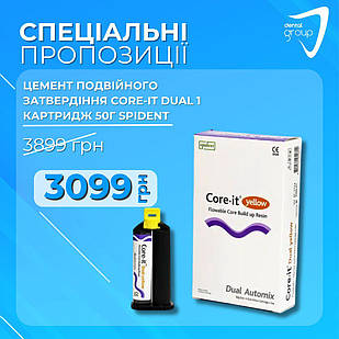 Цемент подвійного затвердіння Коре Іт Дуал (Core-it Dual), 1 картридж 50г, Spident