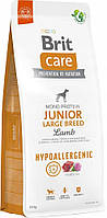 Гіпоалергенний сухий корм для молодих собак великих порід Brit Care Junior Large Breed 12 кг