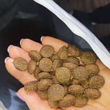 Гіпоалергенний сухий корм для молодих собак великих порід Brit Care Junior Large Breed 12 кг, фото 3