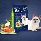 Сухий корм для стерилізованих кішок і котів Brit Premium Sterilized Salmon 1.5 кг, фото 3