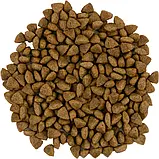 Сухий корм для дорослих кішок із чутливим травленням Savory Adult Cat Fresh Lamb Turkey 8 кг., фото 3